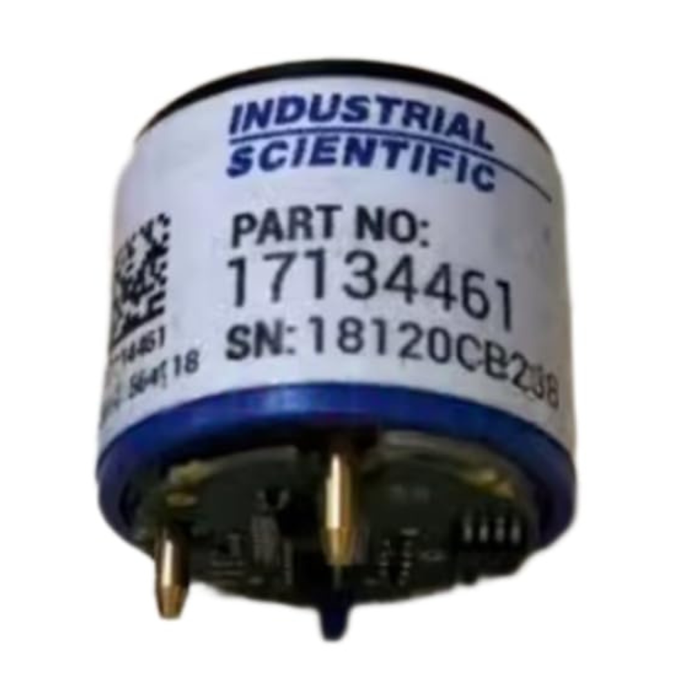 1000 - 2025-09-12T105620.475