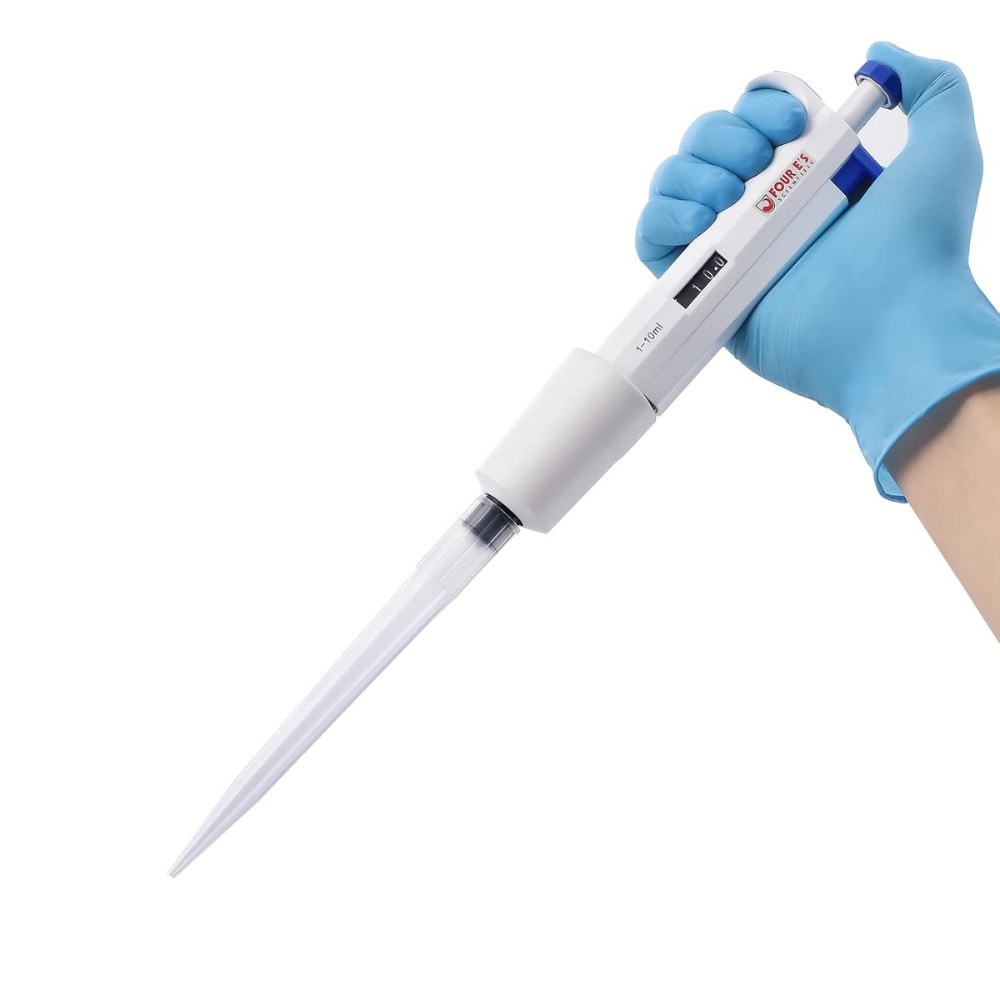 1000 - 2025-09-12T111502.620