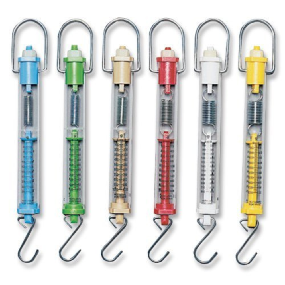 1000 - 2025-09-12T121303.969